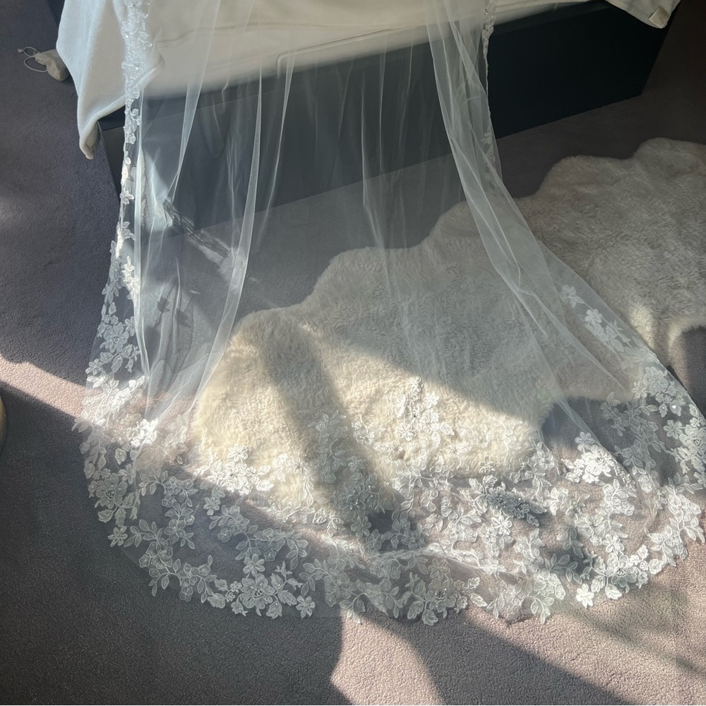 Cathedral length veil - Beand New !!
